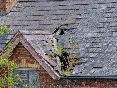 Professional storm damage restoration services in Atlanta - water damage restoration service